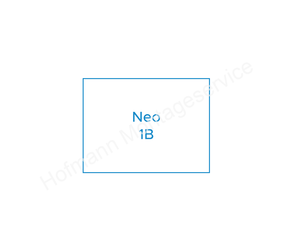 Neo 1B