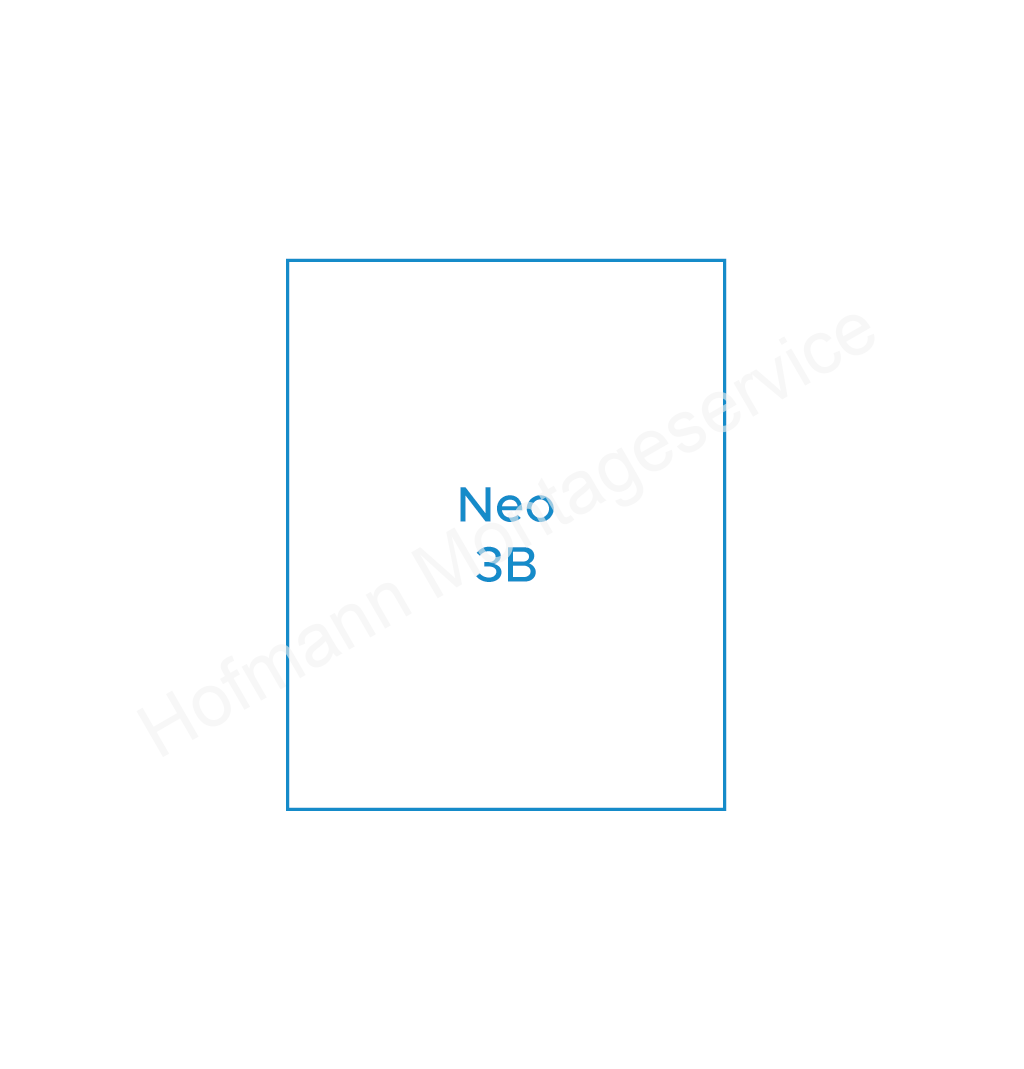 Neo 3B
