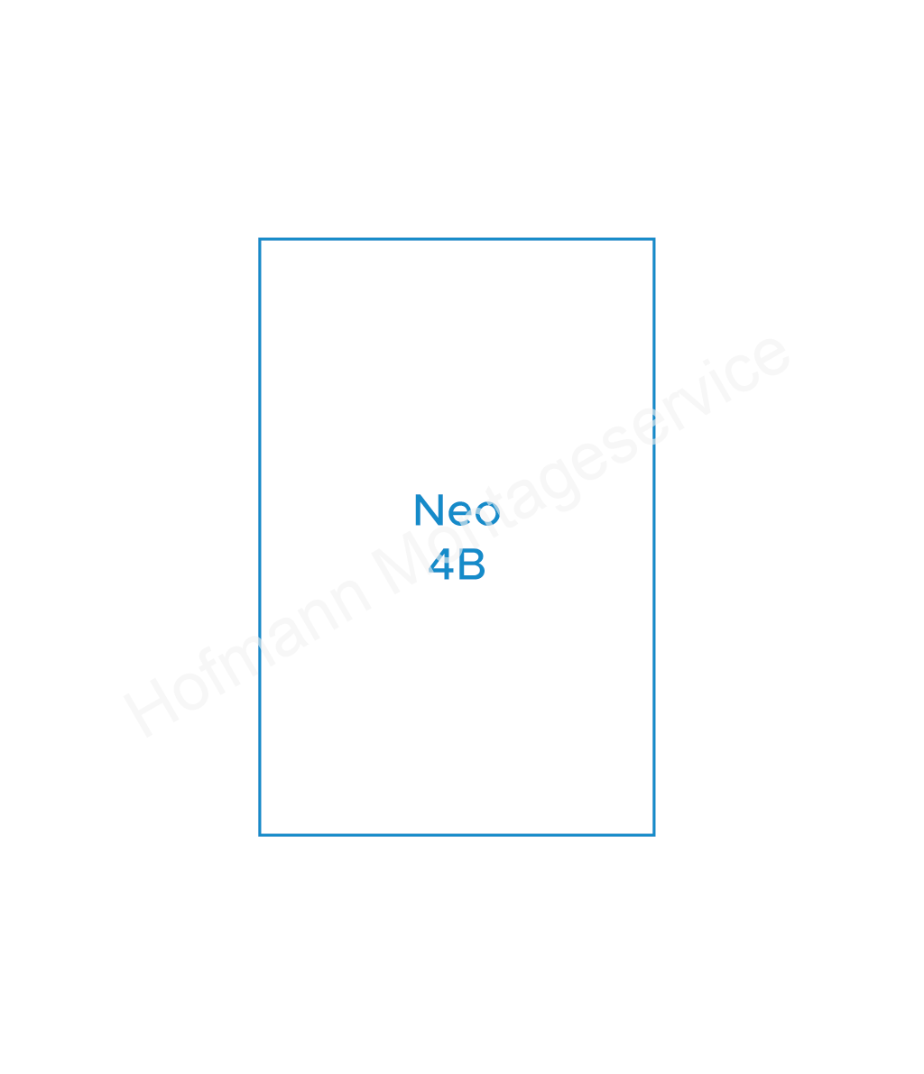 Neo 4B